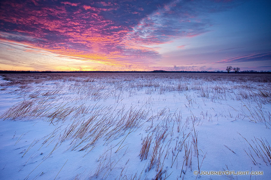 On a cold, early January morning, a snow covered prairie at Boyer Chute National Wildilfe Refuge is greated with a beautiful sunrise.  Due to the very low temperatures, on the horizon a light pillar is visible where in the location the sun will eventually rise. - Boyer Chute Photography