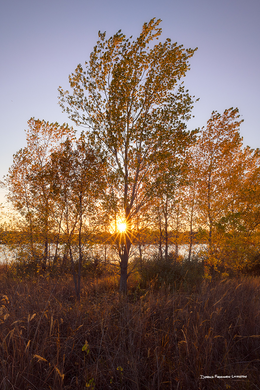 A scenic landscape photograph of a autumn trees on the prairie at Walnut Creek in eastern Nebraska. - Nebraska Picture